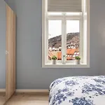 Rosenberg Bergen